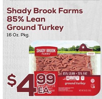 DeCicco & Sons Shady brook farms 85% lean ground turkey offer