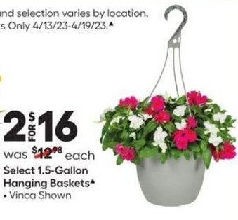 Lowe's Select 1.5-Gallon Hanging Baskets offer