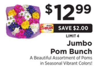ShopRite Jumbo pom bunch offer