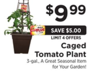 ShopRite Caged tomato plant offer