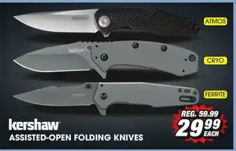 Big 5 Kershaw Assisted-open Folding Knives offer