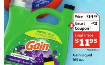 Family Dollar Gain Liquid offer