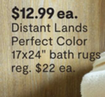 JC Penney Distant lands perfect color 17x24 bath rugs offer