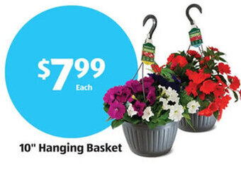 Aldi 10" Hanging Basket offer