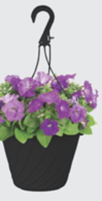 The Home Depot #10 classic hanging basket offer