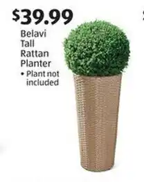 Aldi Belavi Tall Rattan Planter offer