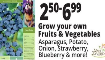 Ocean State Job Lot Grow your own fruits & vegetables offer