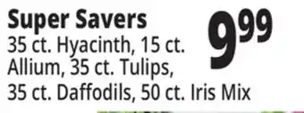 Ocean State Job Lot Super savers offer