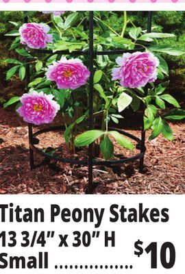 Ocean State Job Lot Tiller & rowe small titan peony 2-ring plant support, 30 offer