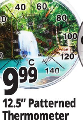 Ocean State Job Lot 12.5 garden thermometer offer