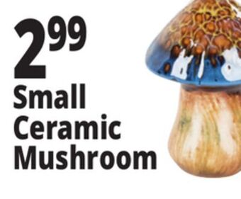 Ocean State Job Lot Small ceramic mushroom offer