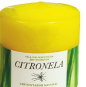 Ocean State Job Lot Citronella insect repellent pillar candle offer