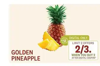 Balducci's Golden pineapple offer