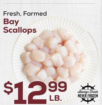DeCicco & Sons Bay scallops offer