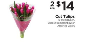 ShopRite Cut tulips offer