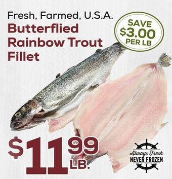 DeCicco & Sons Butterflied rainbow trout fillet offer
