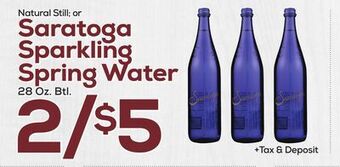 DeCicco & Sons Saratoga sparkling spring water offer
