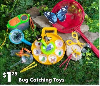 Dollar Tree Bug catching toys offer