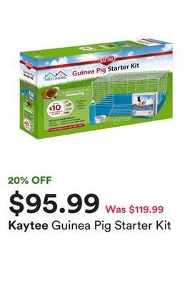 Guinea pig starter kit