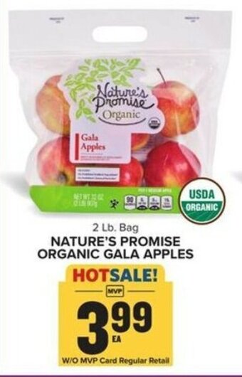 Food Lion 2 Lb. Bag NATURE'S PROMISE ORGANIC GALA APPLES offer