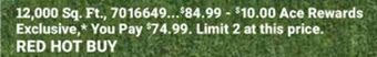 Ace Hardware 12, 000 sq. ft. offer