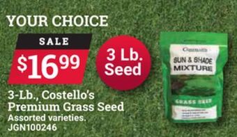 Ace Hardware Costello's premium grass seed 3-lb., offer