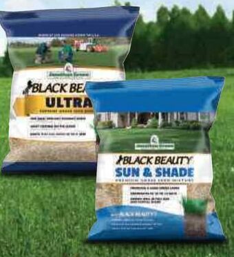 Ace Hardware Jonathan green® black beauty seed, 3 lb. offer