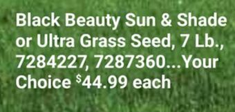 Ace Hardware Jonathan green black beauty sun & shade or ultra grass seed 7 lb. offer