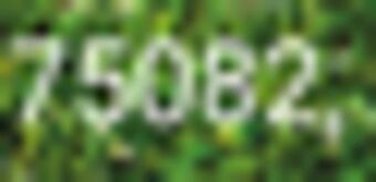 Ace Hardware Scotts step 4 lawn food offer