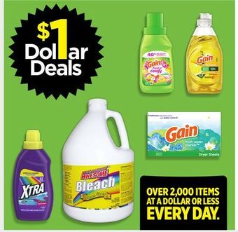 Dollar General Cleaning products offer