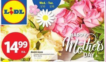 Lidl Dozen roses offer