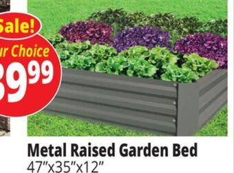 Ocean State Job Lot Metal raised garden bed offer