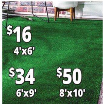Ocean State Job Lot Artificial grass offer