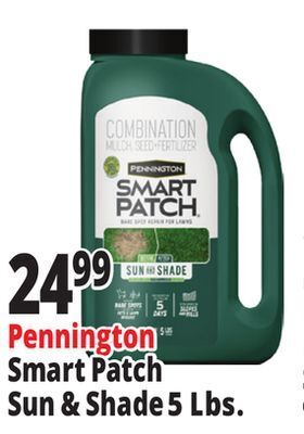 Ocean State Job Lot Pennington smart patch grass seed fertilizer mulch, 5 lbs offer