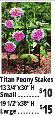 Ocean State Job Lot Tiller & rowe small titan peony 2-ring plant support, 30 offer