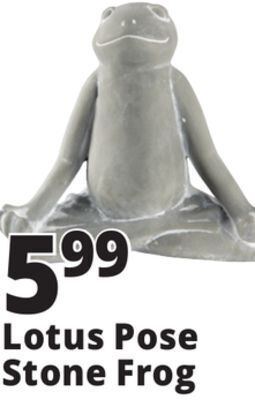Ocean State Job Lot Lotus pose stone frog offer