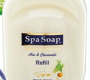 Ocean State Job Lot Spa soap offer