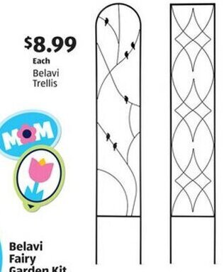 Aldi Belavi Trellis offer