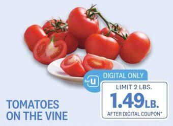 Kings Food Markets Tomatoes on the vine offer