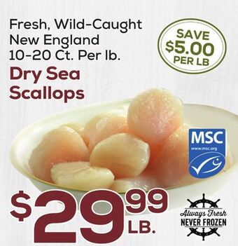 DeCicco & Sons Dry sea scallops offer