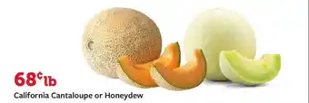Fareway California Cantaloupe Or Honeydew offer