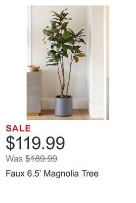 Costco Faux 6.5' magnolia tree offer