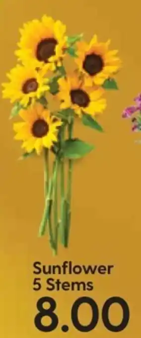 Hy-Vee Sunflower 5 Stems offer