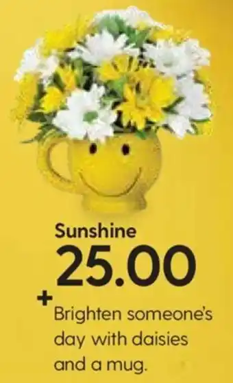 Hy-Vee Sunshine offer