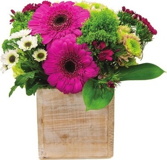 Kroger Mother's day arrangements offer