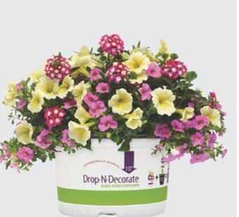 The Home Depot #10 drop-n-decorate offer