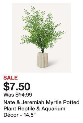 Petsmart Nate & jeremiah myrtle potted plant reptile & aquarium décor - 14.5 offer