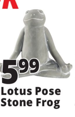 Ocean State Job Lot Stone frog statue offer