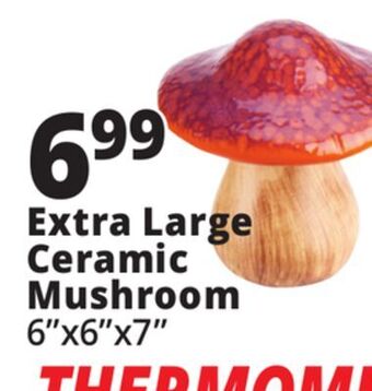 Ocean State Job Lot Extra large ceramic mushroom offer
