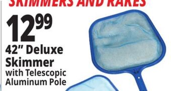 Ocean State Job Lot Swimworks leaf skimmer with telescopic pole offer